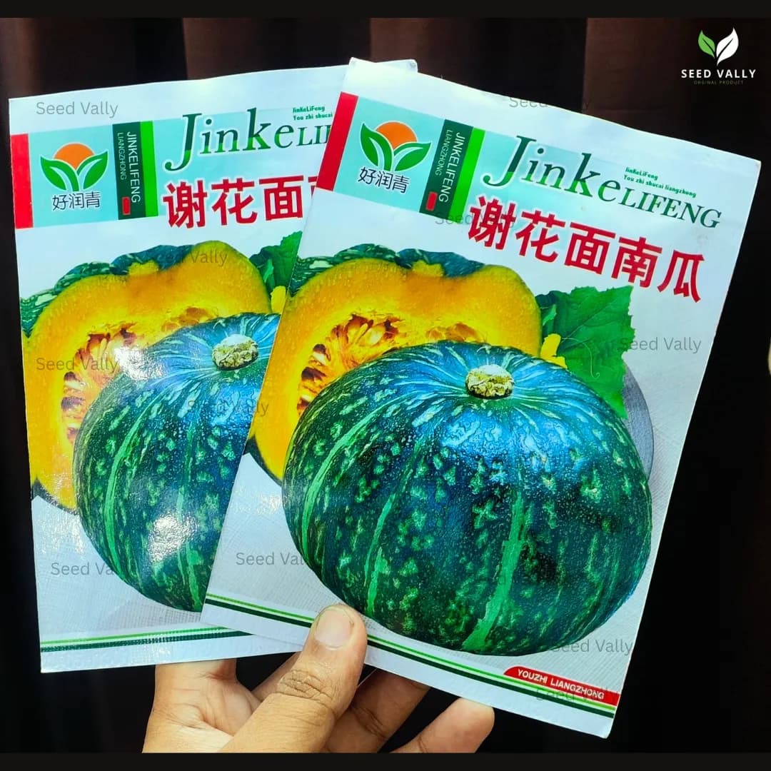 বিদেশী কুমড়ার বীজ