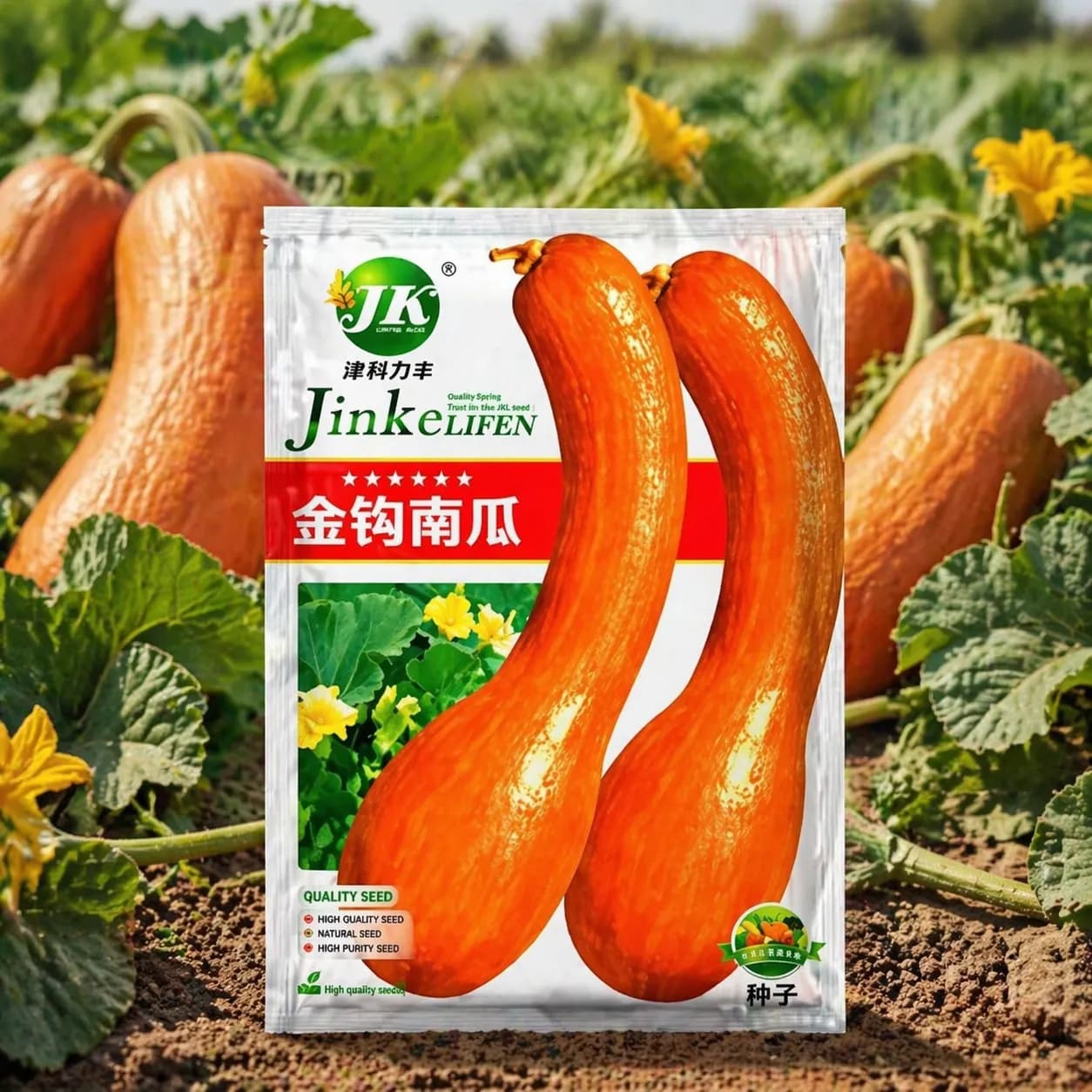 বিদেশী কুমড়ার বীজ-(কমলা কালার)