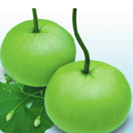 বারোমাসি বিন্দু লাউয়ের বীজ (৩০ পিস) - Image 2